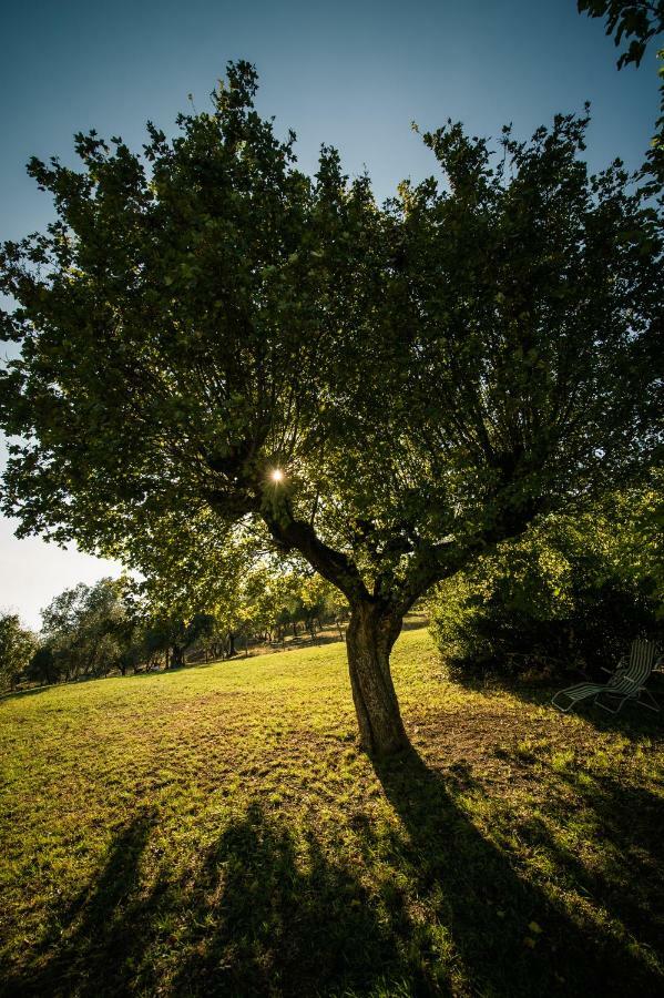 فيلا Podere Belvedere Tuscany بونتاسيفي المظهر الخارجي الصورة